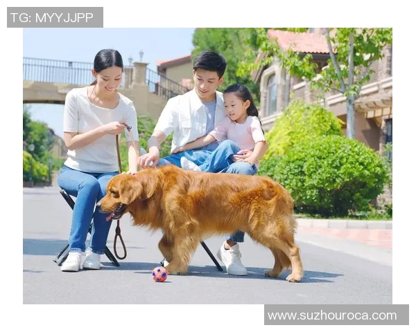 国外足球明星与他们的宠物们的温馨生活与趣事分享